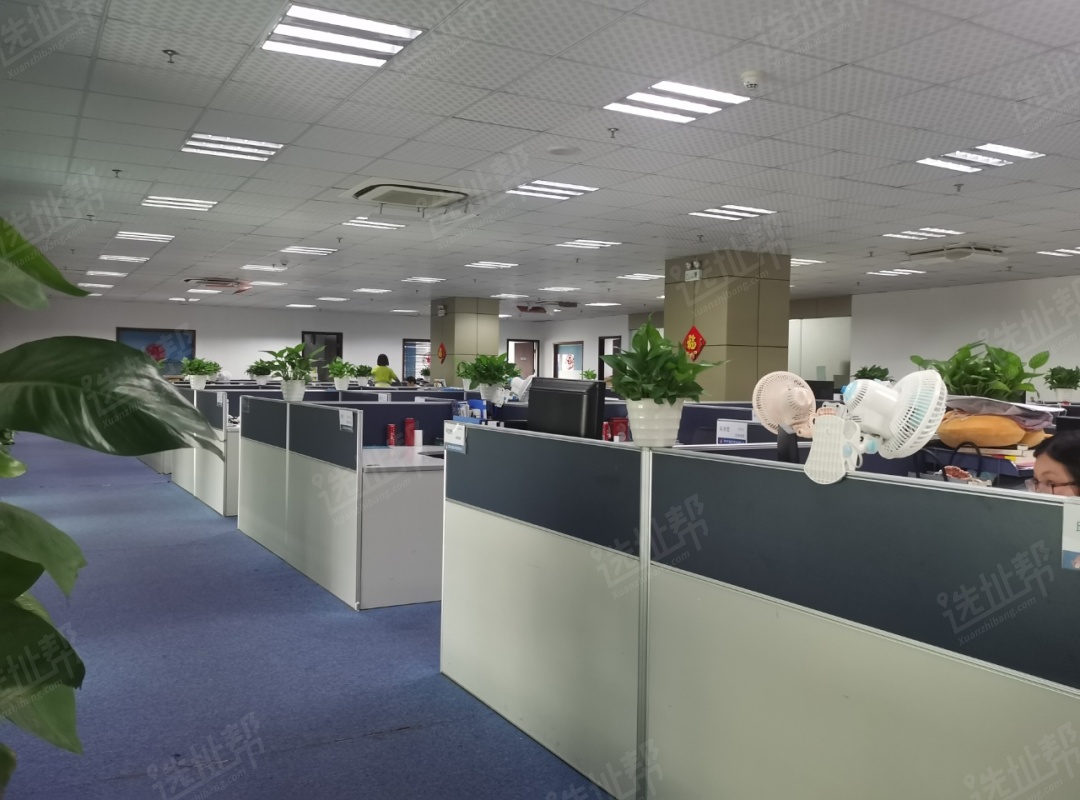 金谷六号出售福田区车公庙图片