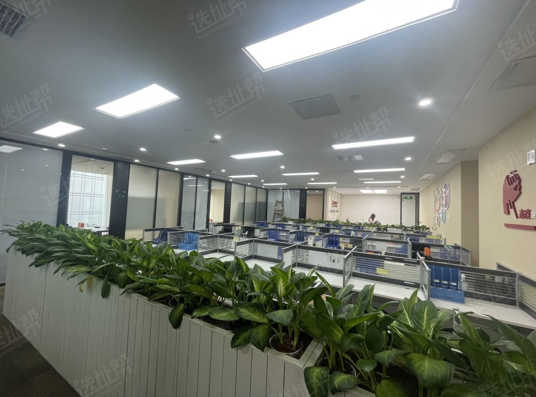 高层  精装修  5+1格局  一手业主  280平  